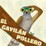 El Gavilán Pollero