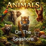 On The Seashore - R Cadwallader Smith