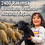 2400 Rakımda Bulutların Üstünde Huzurlu Yaşam | Belgesel