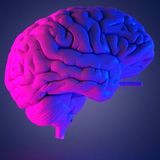 Ep 29 | El Cerebro Humano. Inteligencia o Alzheimer.