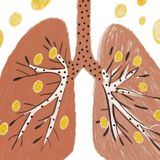 DMSO and Respiratory Healing: The Forgotten Secrets to Sinus Relief