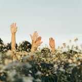 Vivir con Abundancia: Las leyes universales que debes conocer