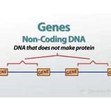 HIDDEN IN YOUR DNA IS THE CODE w/Bro Eddie