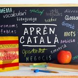 Easy Català Presentació