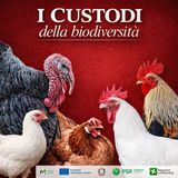 Il DNA non mente: come si salva una razza dal di dentro