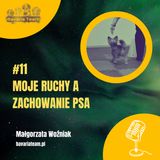 #11. Moje ruchy i zachowanie psa