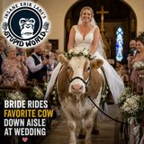 A "Mooo-ving" Wedding, A Plane Chase...In Stilettos, and A Cottonmouth "Plays" Football!