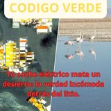 10.- Tu coche eléctrico mata un desierto: la verdad incómoda detrás del litio.