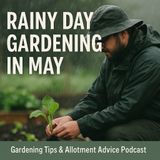 🎧 Rainy Day Gardening in May | Gardening Tips & Allotment Advice Podcast