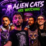 ALIEN CATS! The Strangest Evidence Yet w/ Skiba News Nation