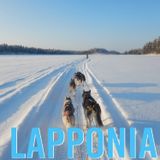 #07 Lapponia e Norvegia con i cani da slitta - Intervista a Laura Bartoli