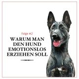 Warum man den Hund emotionslos erziehen soll - #02