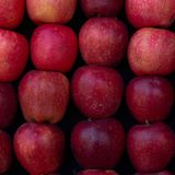 Mercado da Maçã: Safra Recupera Produção e Oferta Pressiona os Preços | BBCast Agro 16/06/2026