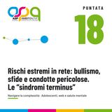 Rischi estremi in rete: bullismo, sfide e condotte pericolose. Le “sindromi terminus”