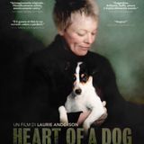 voices/heart of a dog