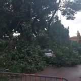 Maltempo: danni a Lonigo, linea ferroviaria sospesa fra Verona e Vicenza. Frana a Borca di Cadore