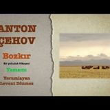 Anton Çehov - Bozkır (Bütünü)