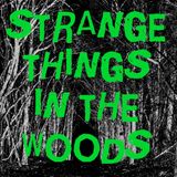 Strange Things in The Woods