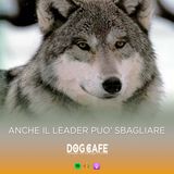 108 - Anche il leader può sbagliare.