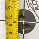 Range Report - Tale of two Guns Ruger Scout Rifle Sig Tread