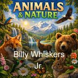 Billy Whiskers Jr - Frances Trego Montgomery