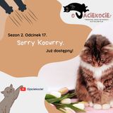 S2E17 - Sorry Kocurry.