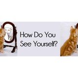 Eloquently Speaking How Do You See Yourself? - Stacey Lunsford