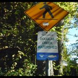 Running the Douglas Creek Watershed