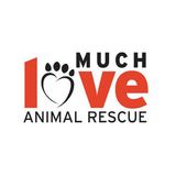 Much Love Animal Rescue