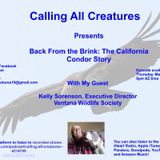 Calling All Creatures Presents Back From the Brink: The California Condor Story