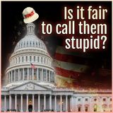 Is it fair to call them stupid?