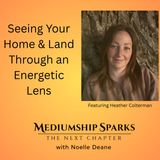 Seeing Your Home and Land Through an Energetic Lens featuring Heather Colterman of Earthly Owl