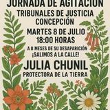 8 meses desaparicion julia chuñil