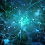 Scoperta una nuova cellula cerebrale che potrebbe cambiare il futuro delle neuroscienze