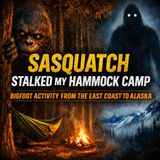 SOMETHING BIG IS LURKING IN THE FOREST | HAMMOCK CAMPING ON THE EAST COAST (NORTH AMERICA BIGFOOT)