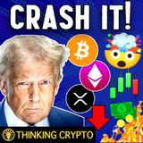 BITCOIN & ALTCOIN CRASH! IS IT OVER FOR CRYPTO?