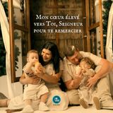 Lumières de fête (31-12-2025)