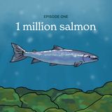 Season 2, Episode 1: 1 Million Salmon