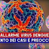 Allarme Virus Dengue: L'Aumento Dei Casi E' Preoccupante!