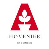 Hoe je een onderhoudsvriendelijke tuin ontwerpt