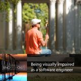 Being visually impaired as a software engineer