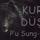 Kurt Düşü  P’u Sung-Ling sesli kitap tek parça