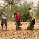 Culture, campagne agricole et prévention de la rage (Le Niger sur Kalangou)