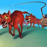 China and its Wolf Diplomacy