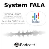 System FALA - rozmowa z przedstawicielkami spółki InnoBaltica