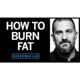 How to Lose Fat with Science-Based Tools