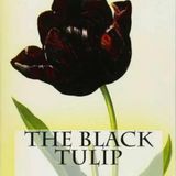 The Black Tulip by Alexandre Dumas | Full Audiobook | Audiobook Time