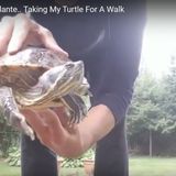 Hanging With Andante.. Taking My Turtle For A Walk