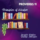 Proverbs 11 | Principles of Wisdom