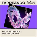 Genes y Origen: Por qué tu ancestría importa más que tu raza para la ciencia